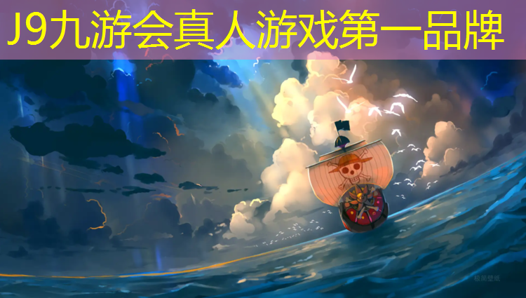 J9九游会官网登录入口：三级跳体操垫